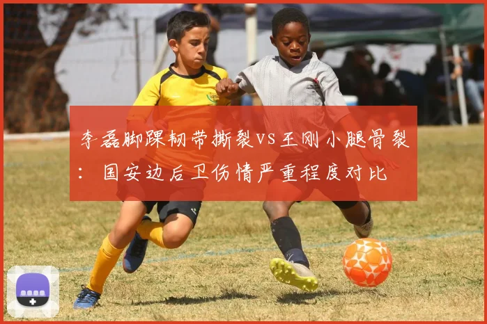 李磊脚踝韧带撕裂vs王刚小腿骨裂：国安边后卫伤情严重程度对比