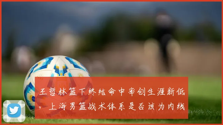 王哲林篮下终结命中率创生涯新低，上海男篮战术体系是否该为内线减负？